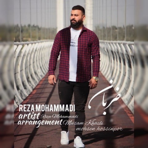 رضا محمدی ضربان